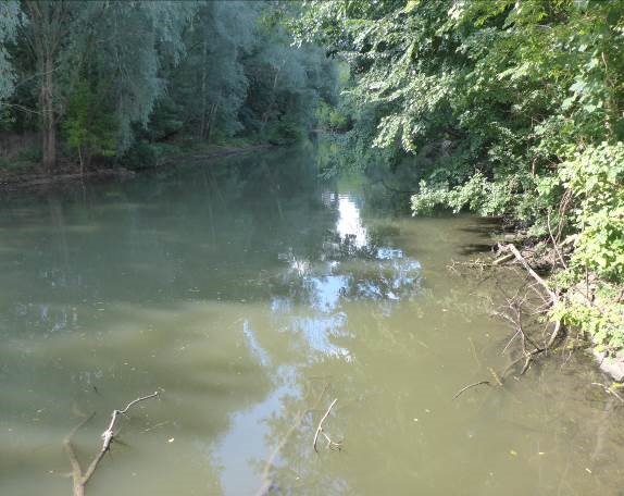 Wilde Saale an der Peißnitz in Halle